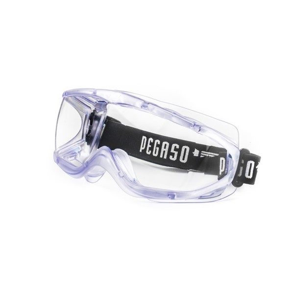 Ulleres Mod.XL Goggle Transparent