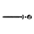 TORNILLO TIC INVIOLABLE NEGRO