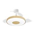 VENTILADOR PARIS 50W FAIG CCT 1100 CM