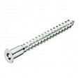 Caixa 3000 cargols allen ENE ensamblar 5x50 ZN
